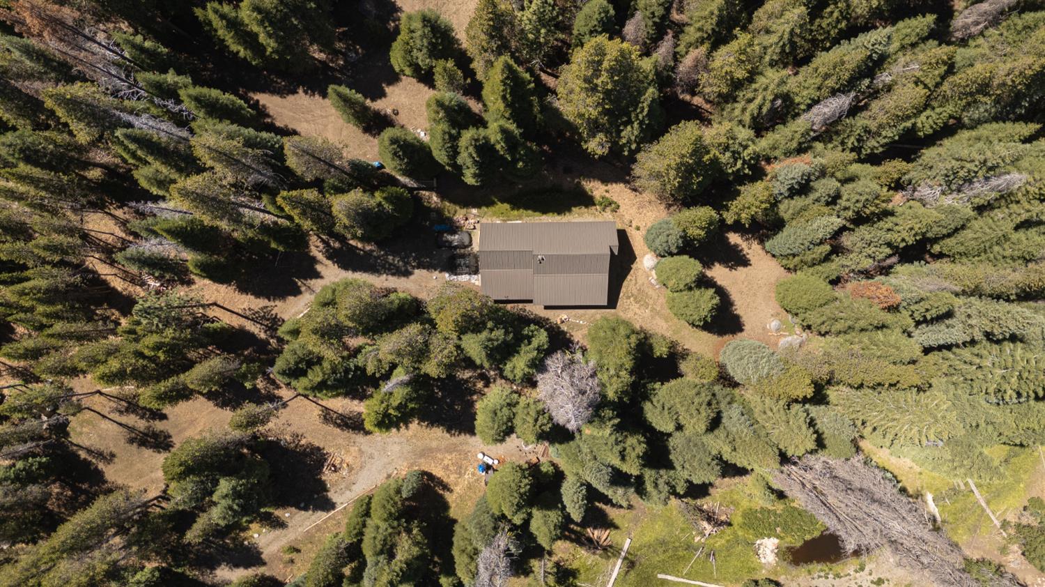 67922 Beasore Rd, Bass Lake, CA 95604