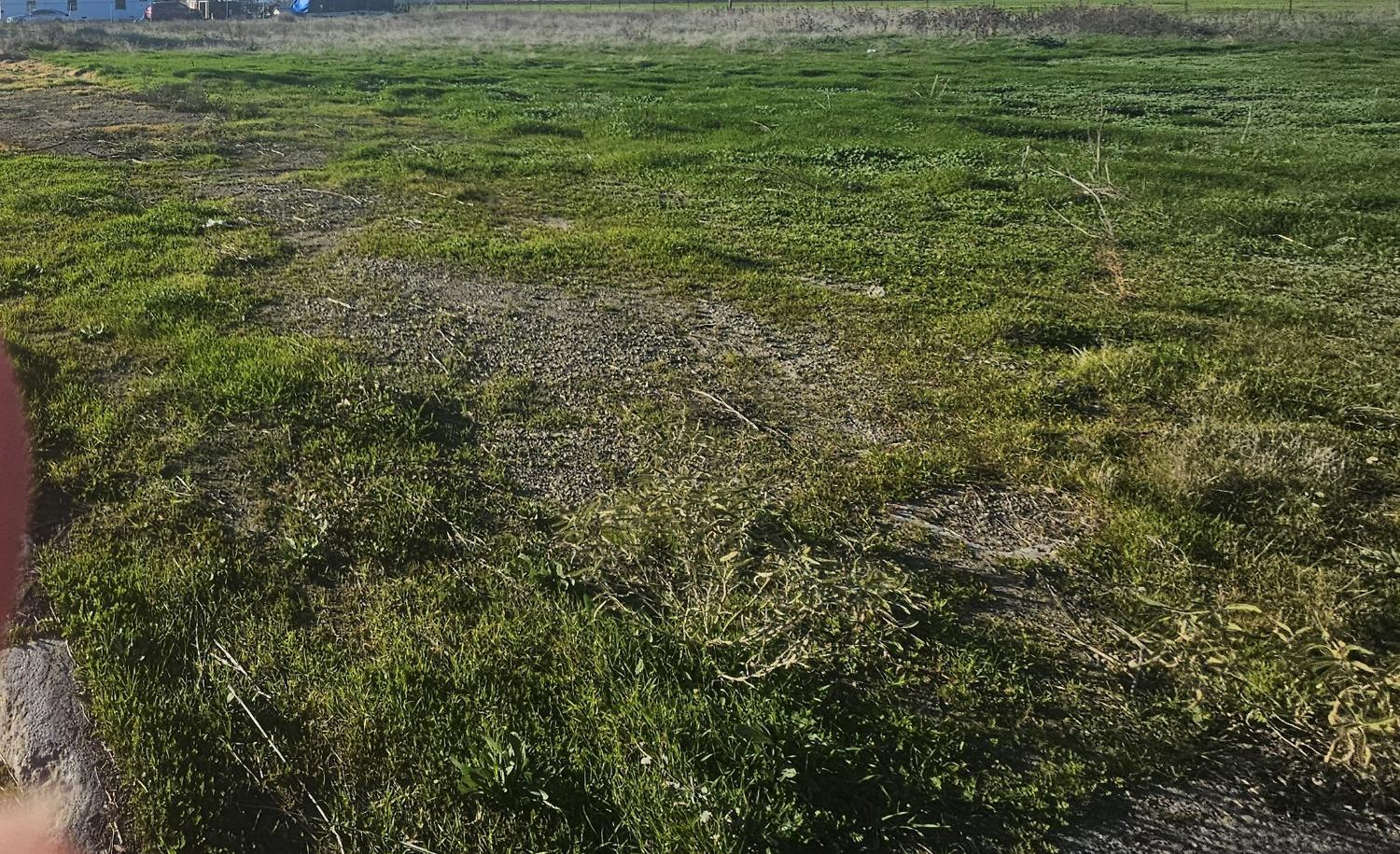 0 0 Blossom, Dos Palos, CA 93620