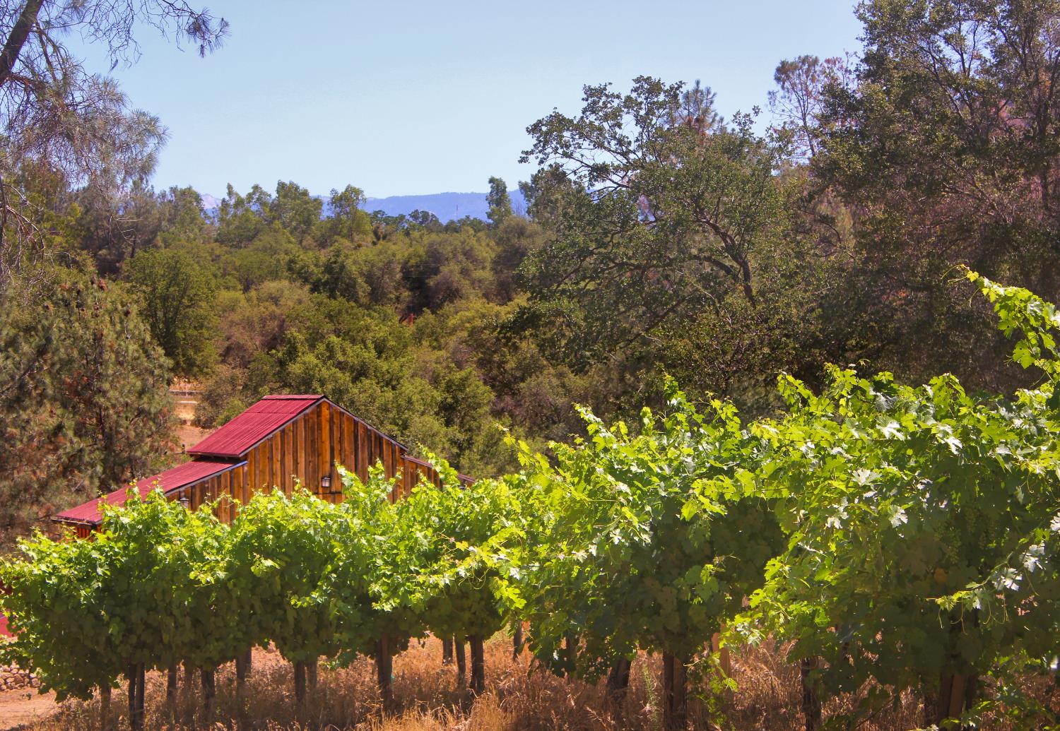 49610 House Ranch Rd, O neals, CA 93645