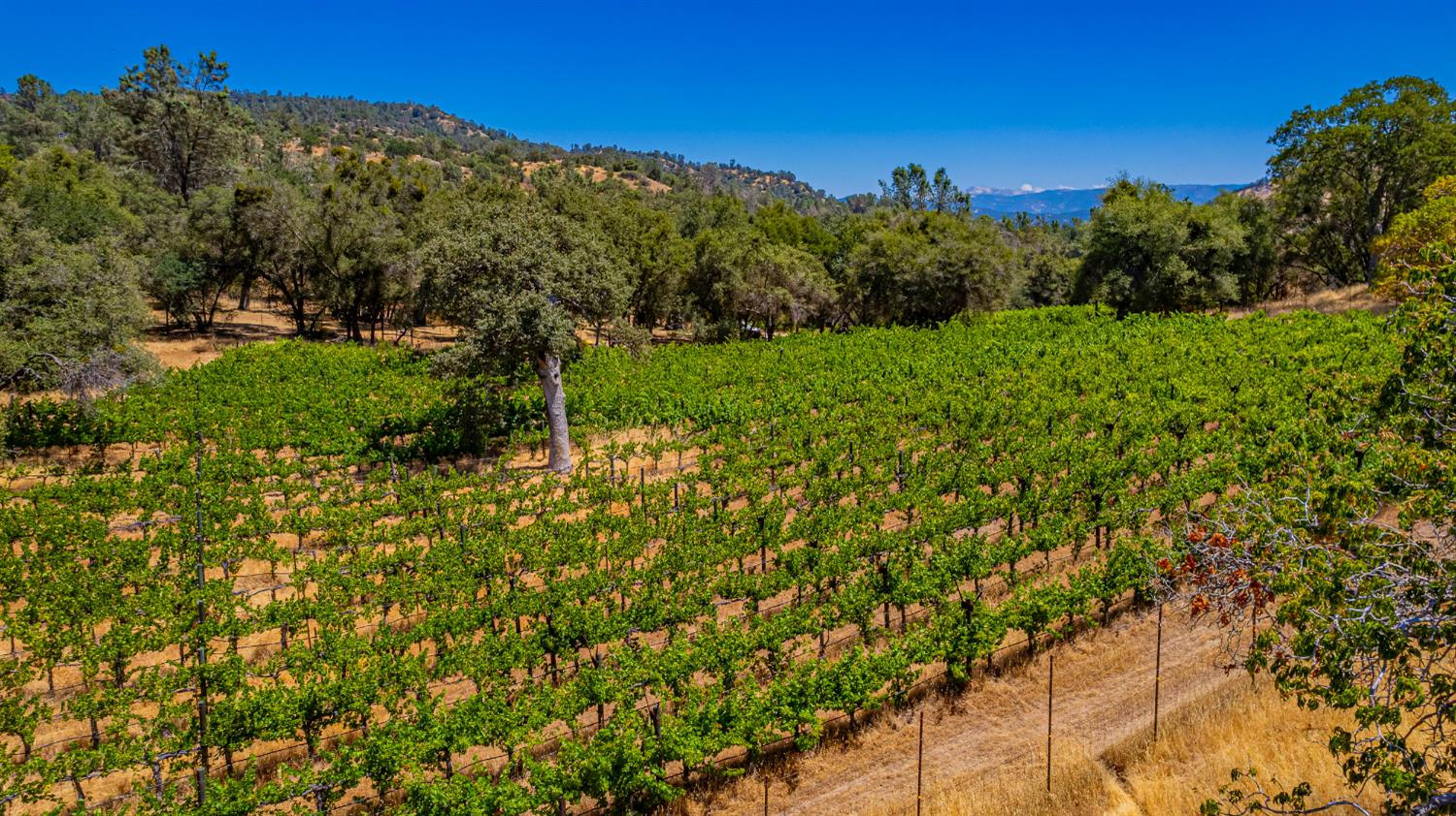 49610 House Ranch Rd, O neals, CA 93645