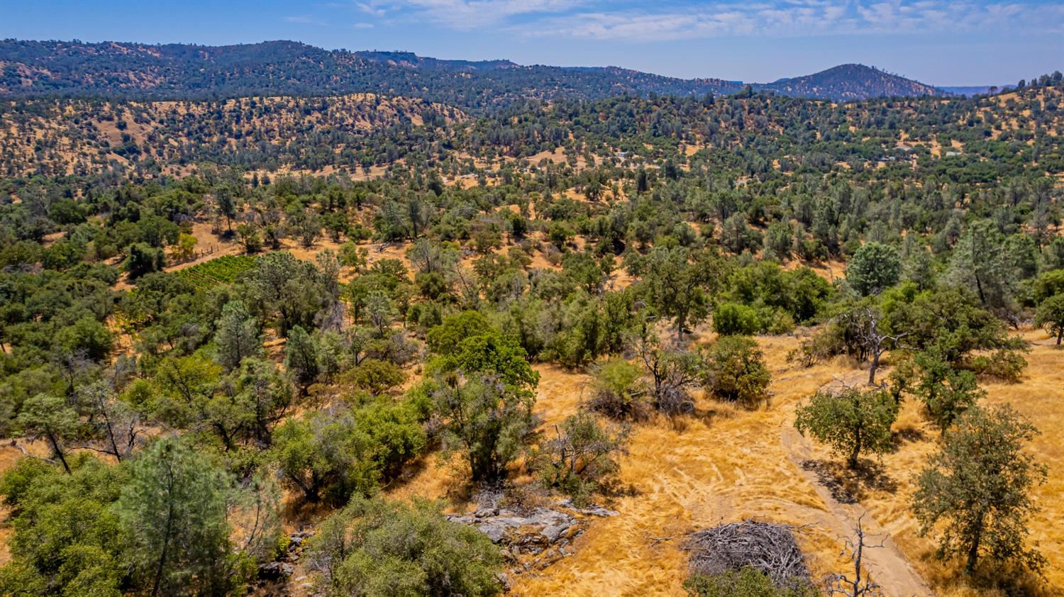 49610 House Ranch Rd, O neals, CA 93645