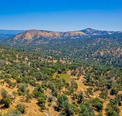 49610 House Ranch Rd, O neals, CA 93645