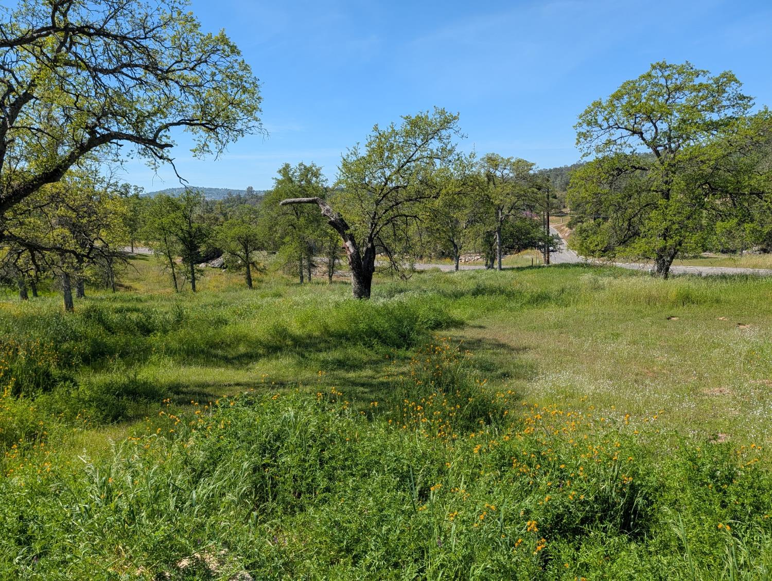 43243 Long Hollow Dr, Coarsegold, CA 93614