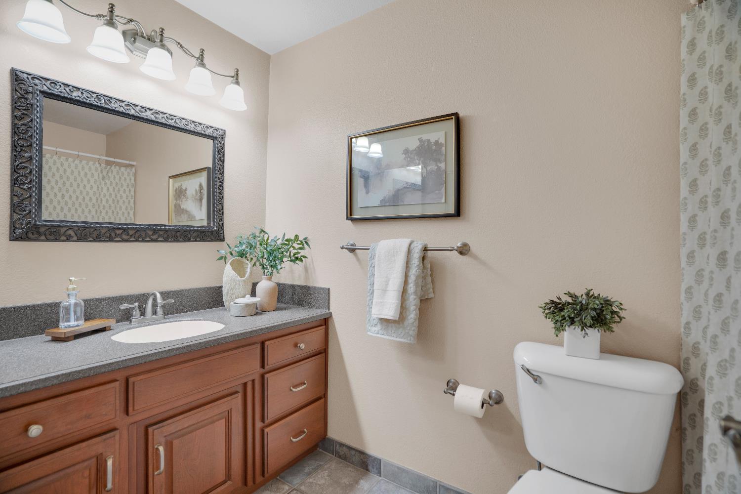 580 Shawn Vines Ave, Oakdale, CA 95361