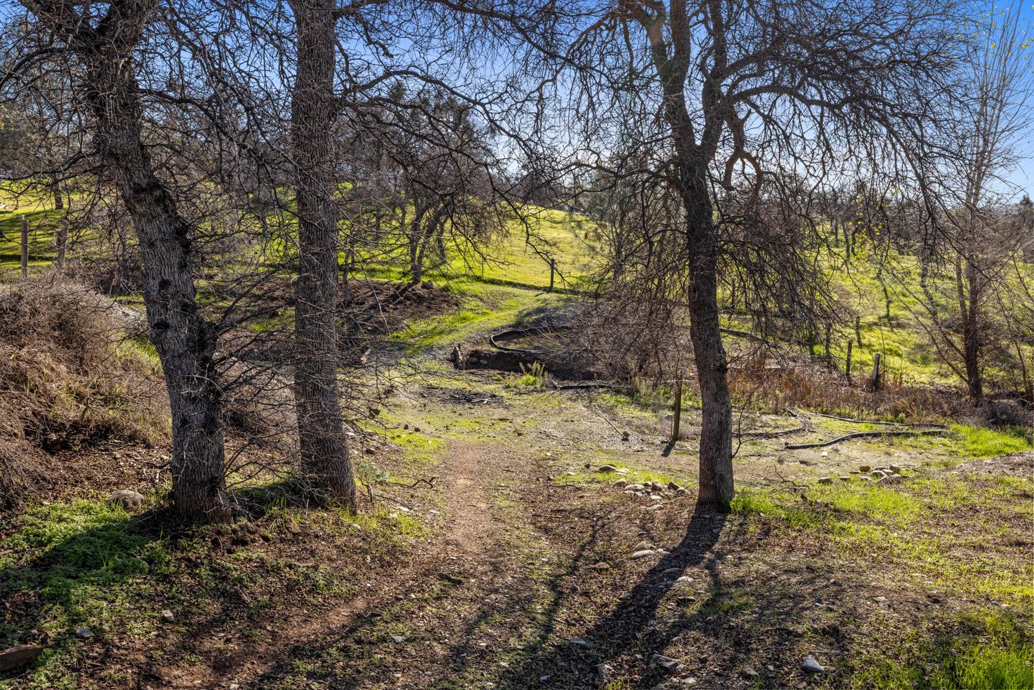 13695 Barro Ct, La Grange, CA 95329