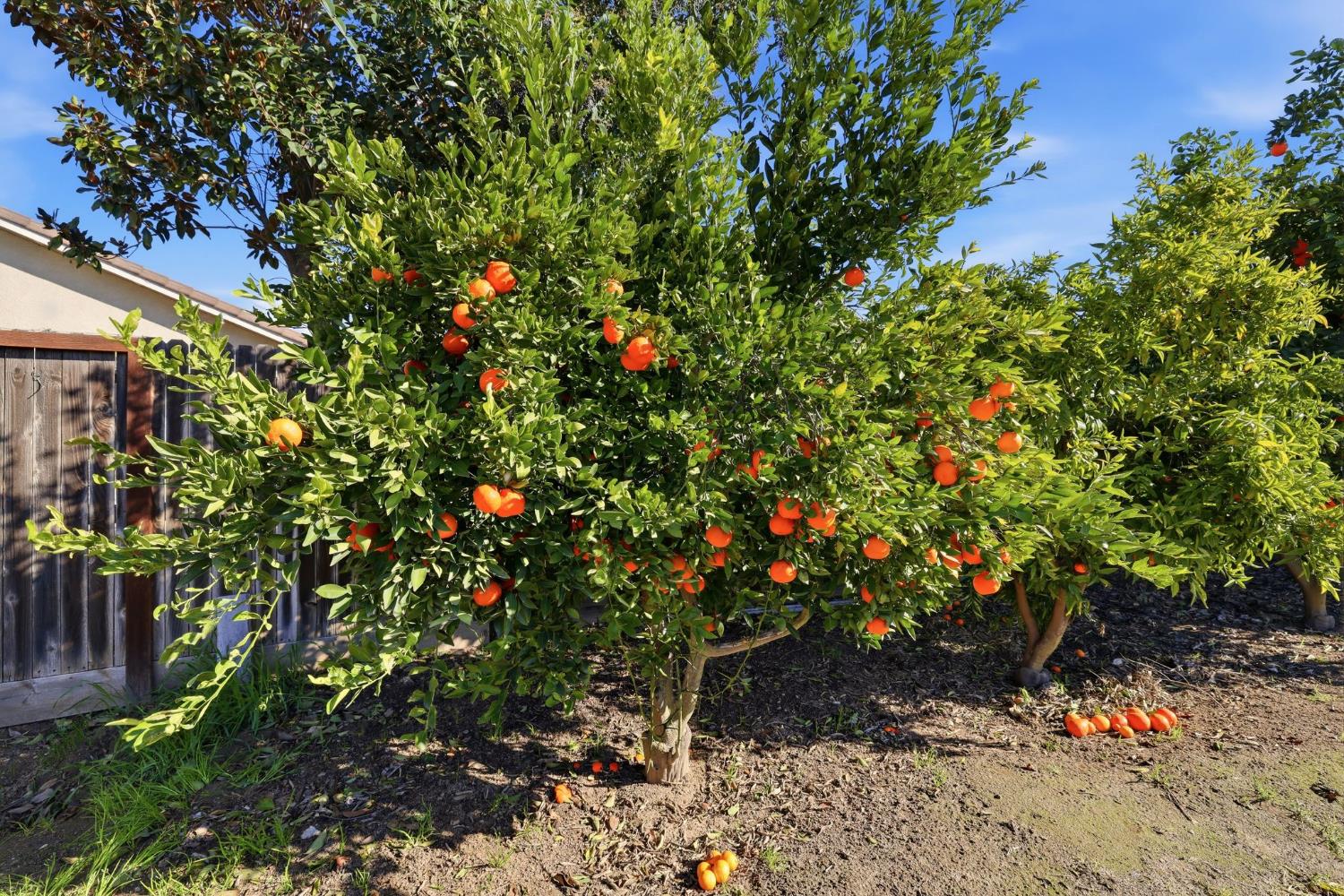 1730 Tasca Ln, Manteca, CA 95337