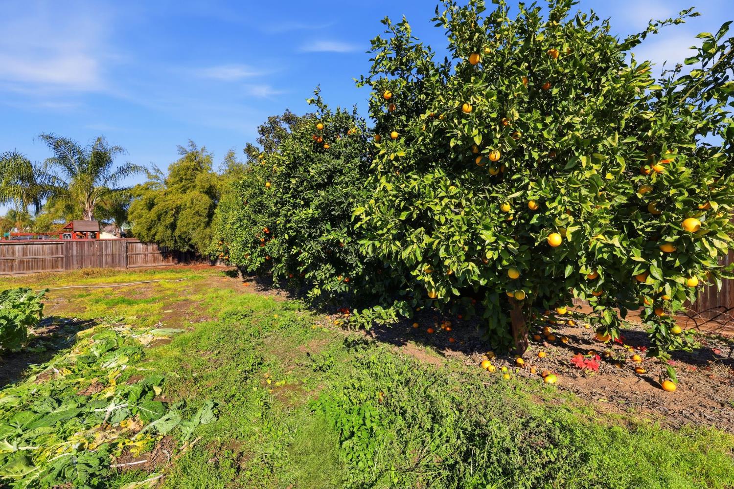 1730 Tasca Ln, Manteca, CA 95337