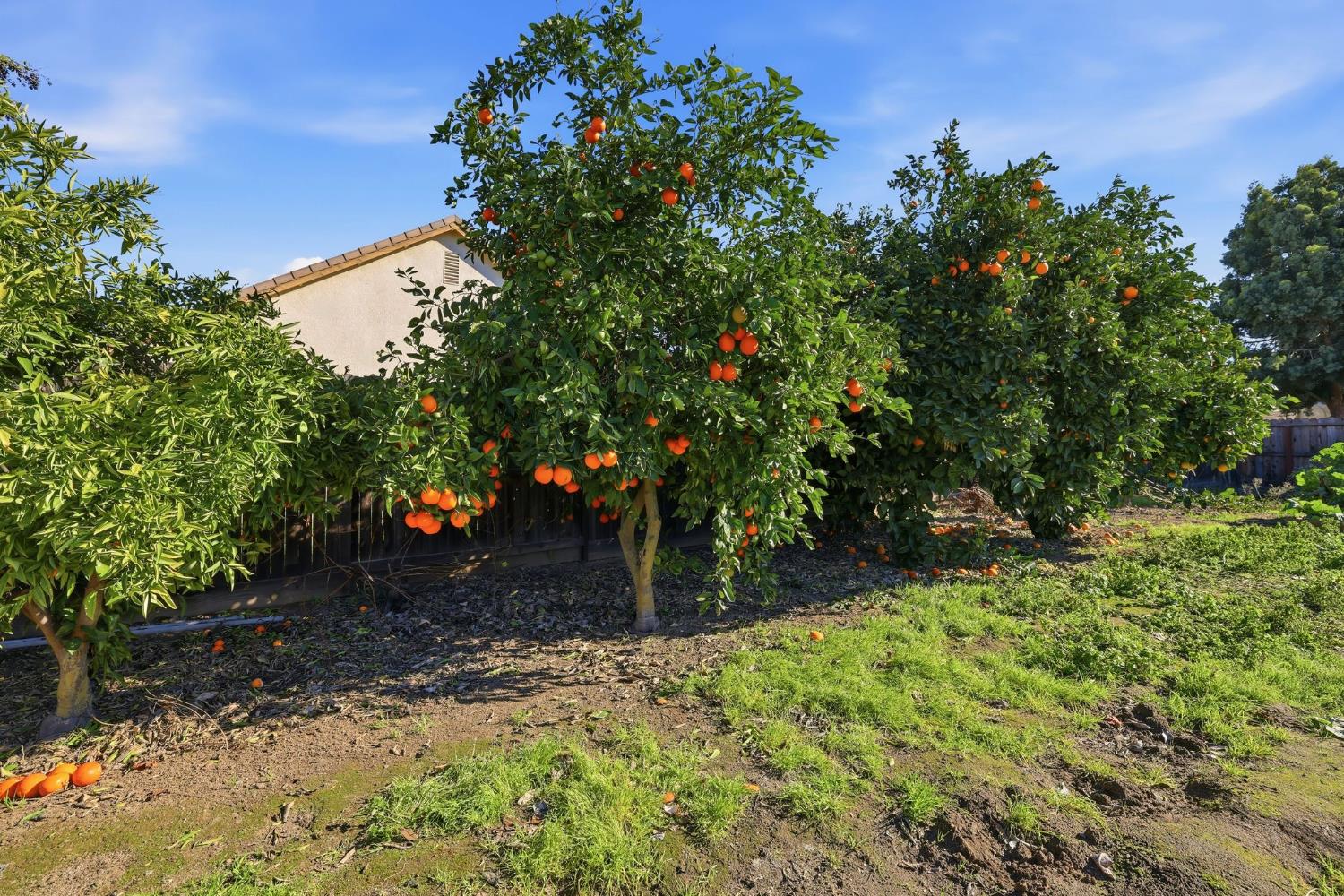 1730 Tasca Ln, Manteca, CA 95337