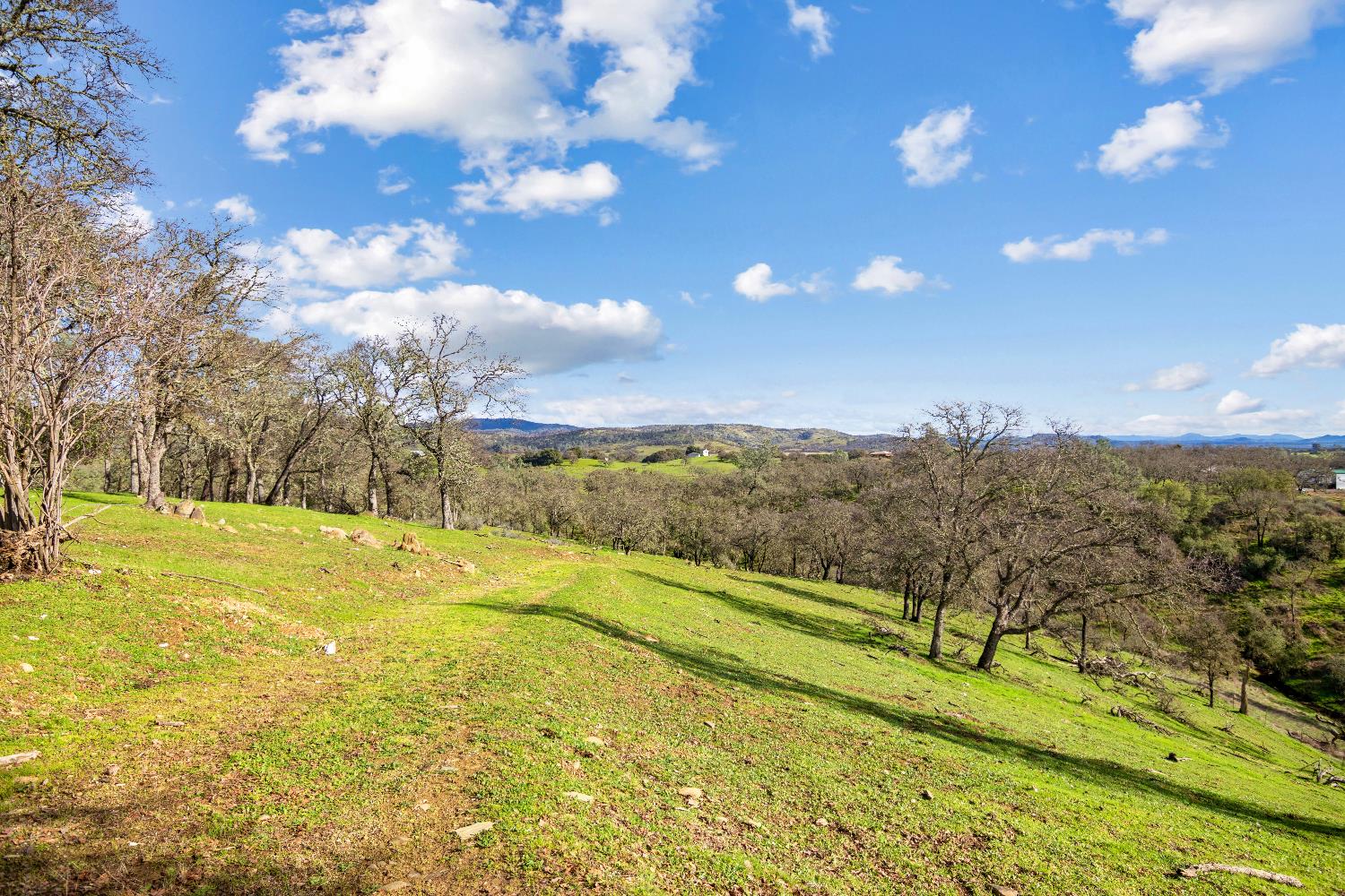 5636 Chuckwagon Dr, Copperopolis, CA 95228