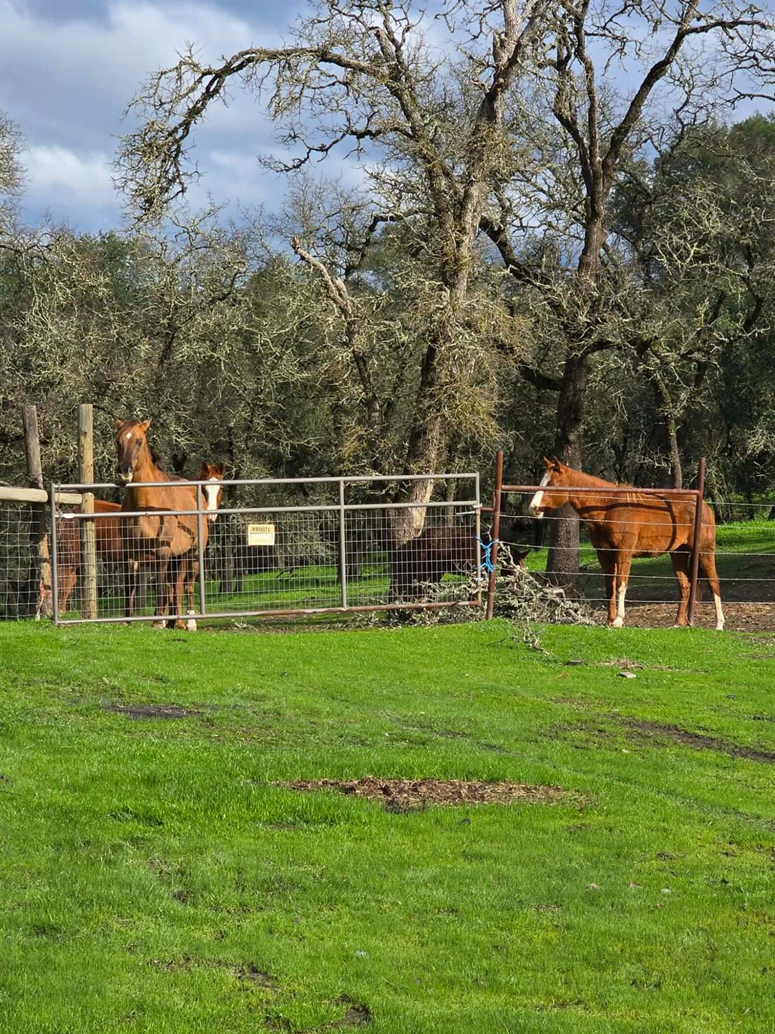 5636 Chuckwagon Dr, Copperopolis, CA 95228