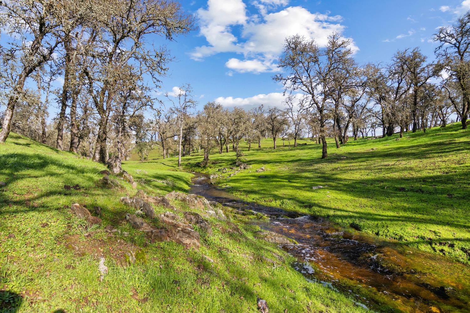 5636 Chuckwagon Dr, Copperopolis, CA 95228