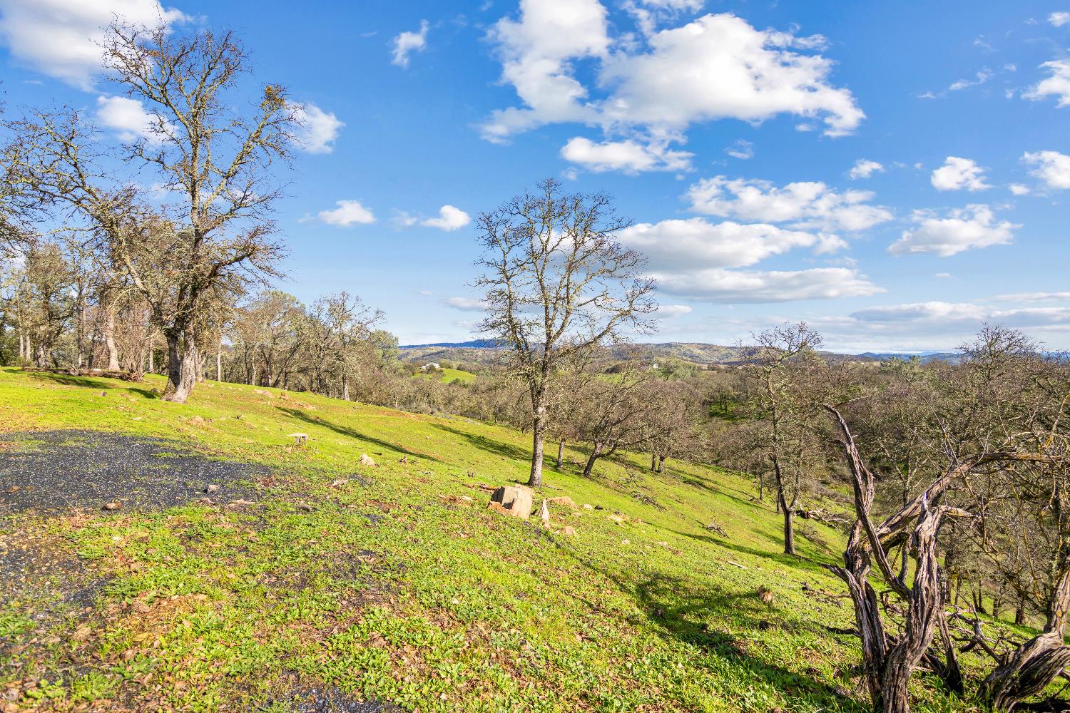 5636 Chuckwagon Dr, Copperopolis, CA 95228