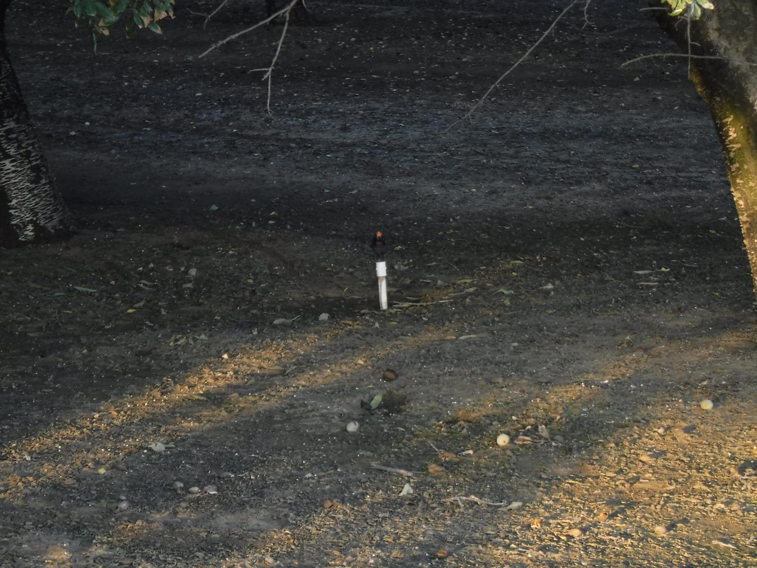 18401 Davis Rd, Patterson, CA 95363