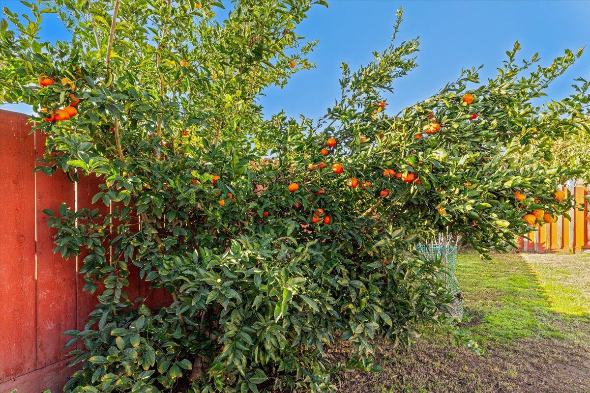 1332 Bluejay Way, Modesto, CA 95351