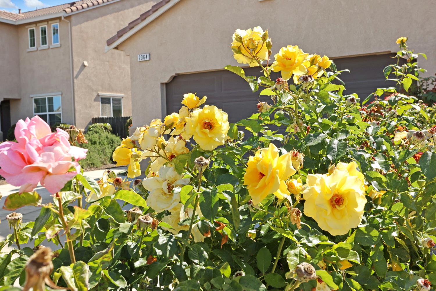 2364 Inyo Pl, Manteca, CA 95337