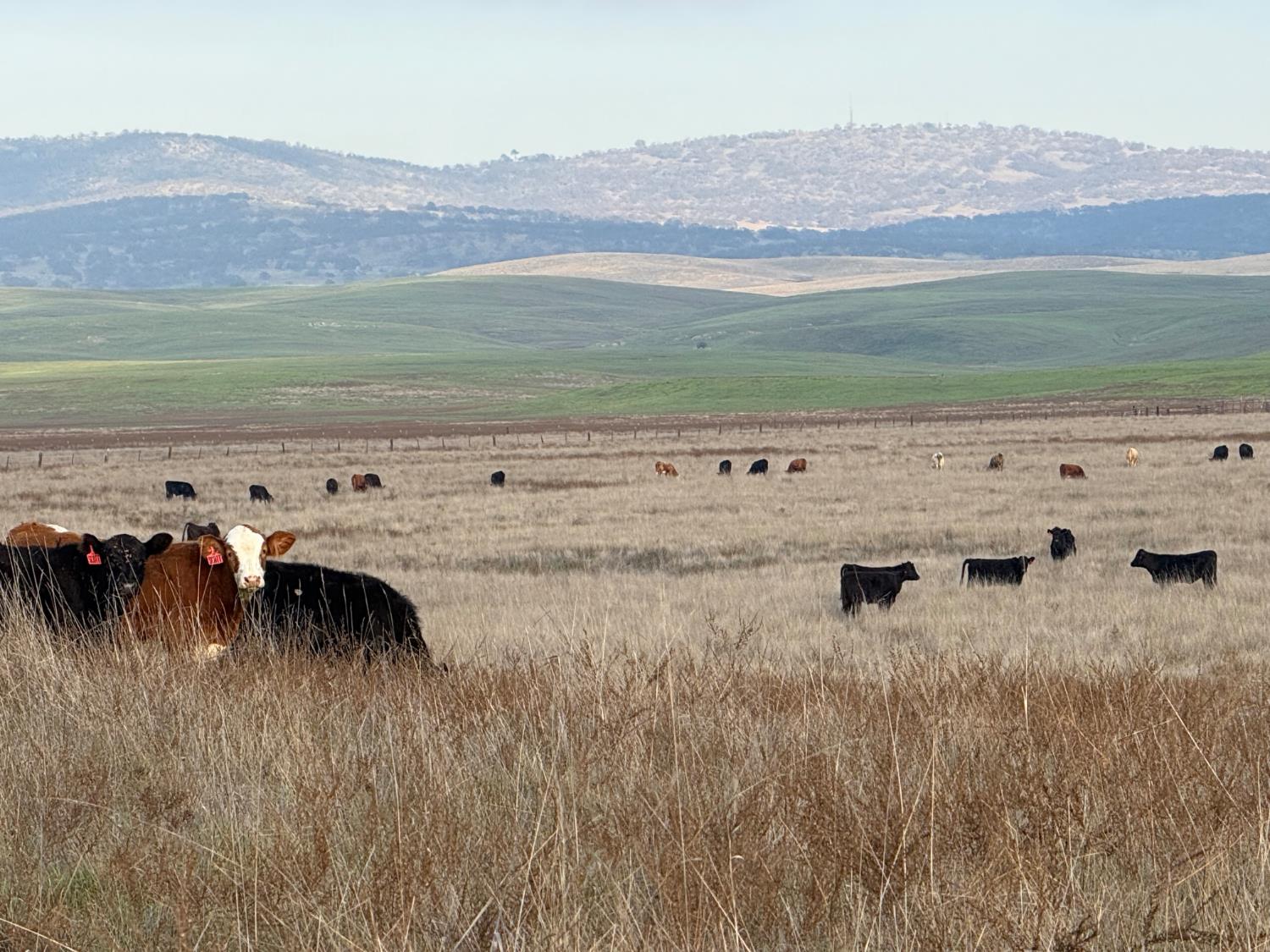 0 Dunton Rd, Oakdale, CA 95361