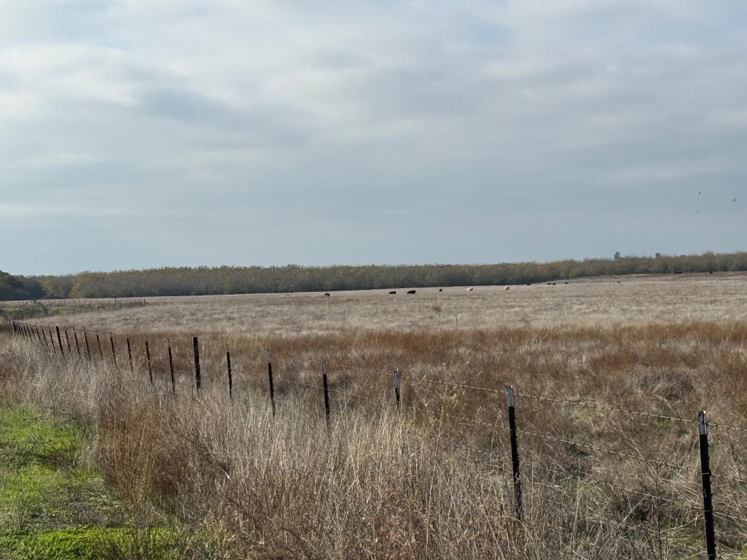 0 Dunton Rd, Oakdale, CA 95361