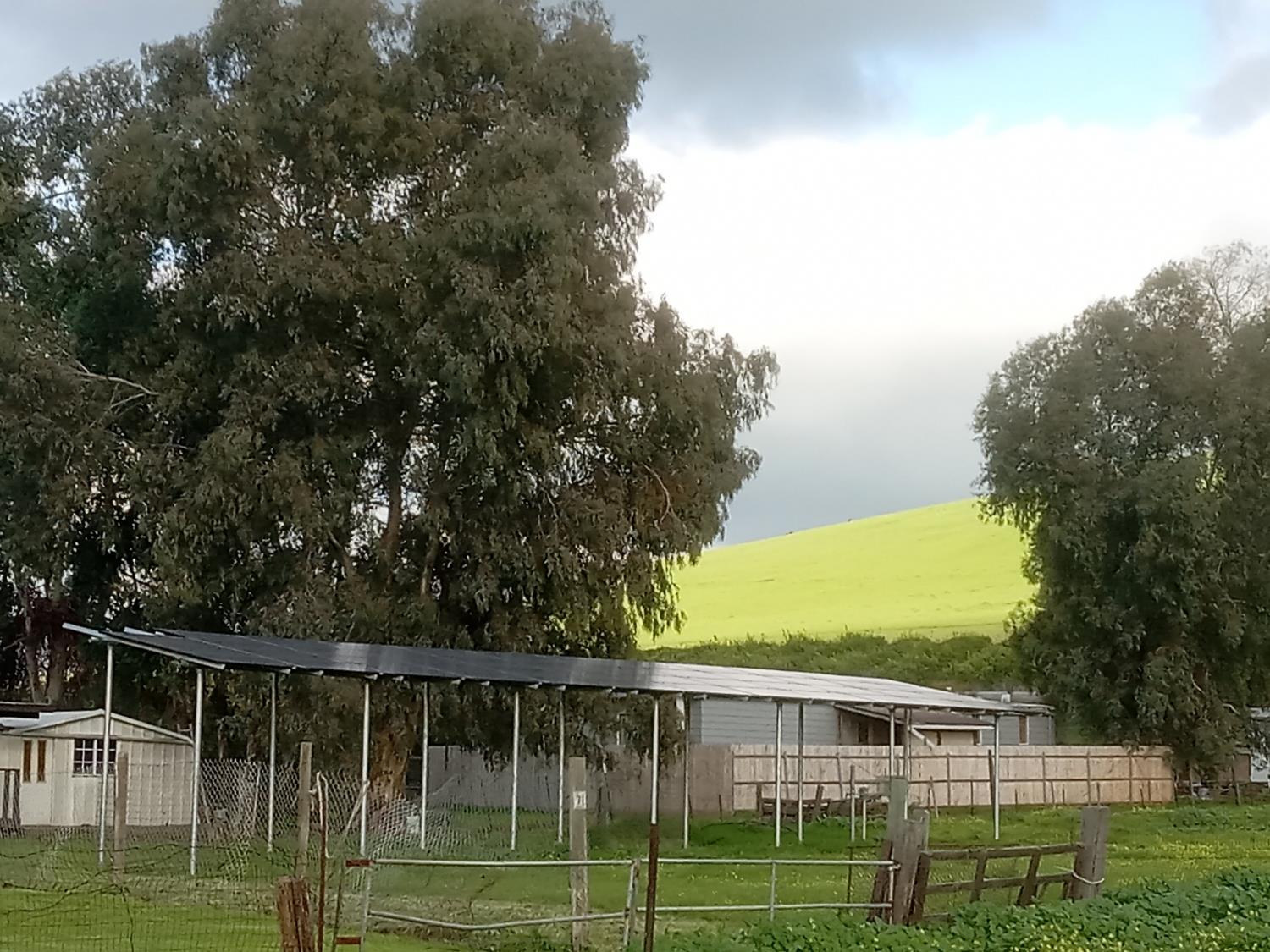 602 Spruce Rd, Exeter, CA 93221