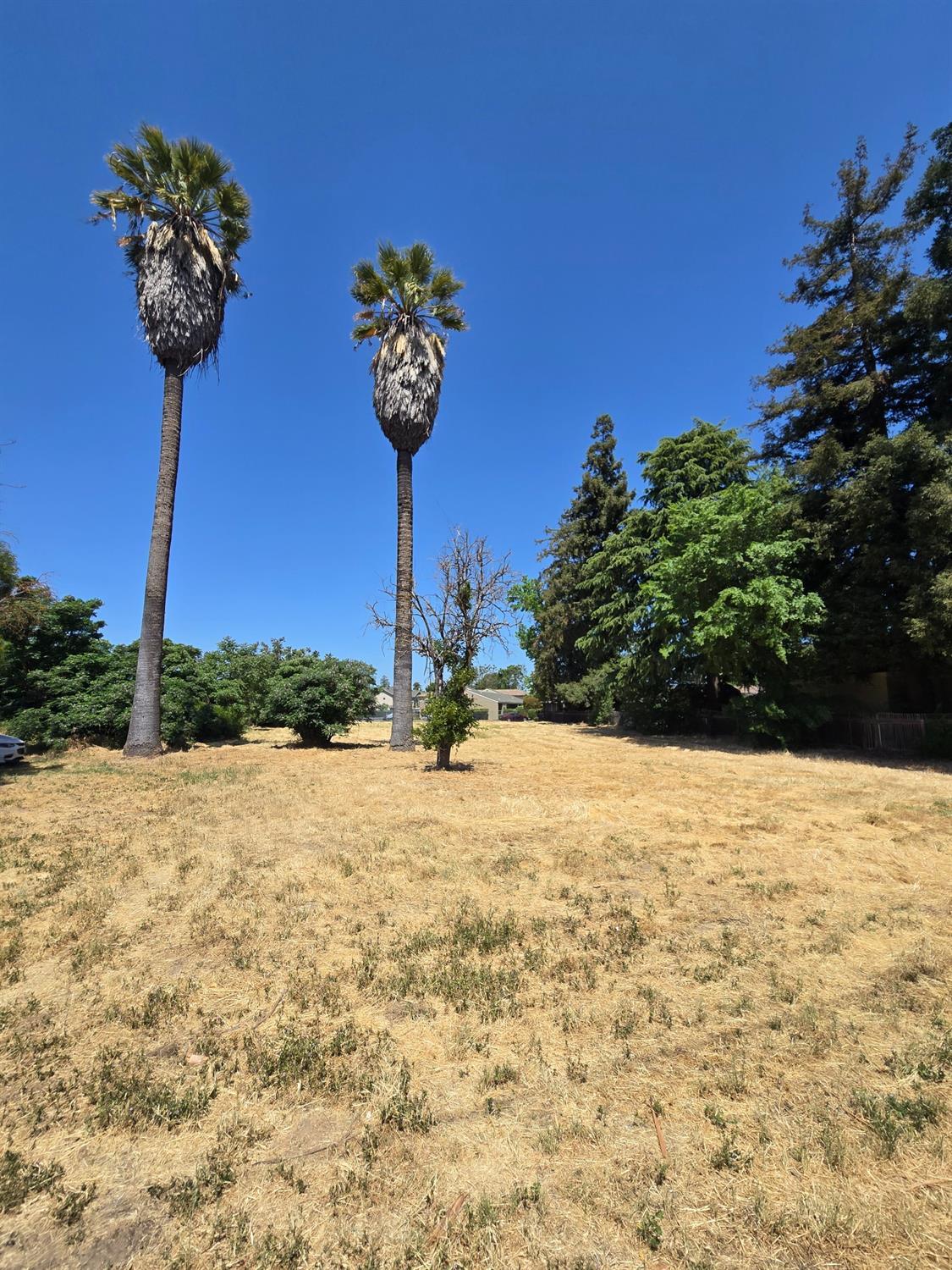 951 E Main St, Turlock, CA 95380