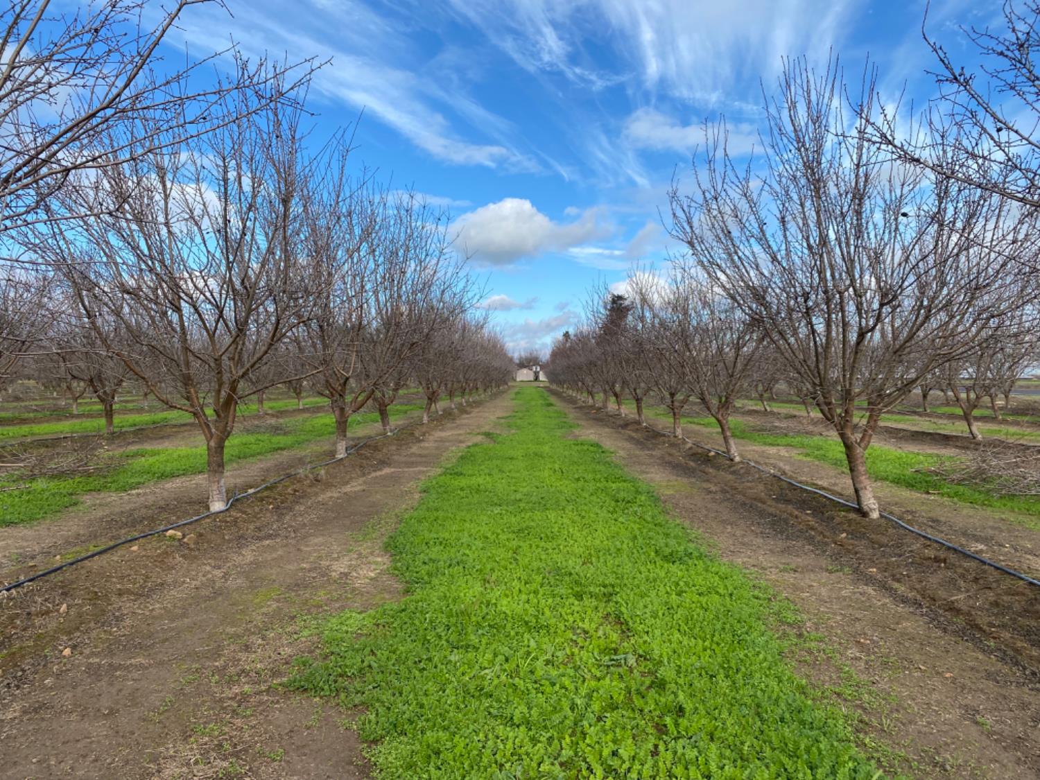 17751 Sexton Rd, Escalon, CA 95320