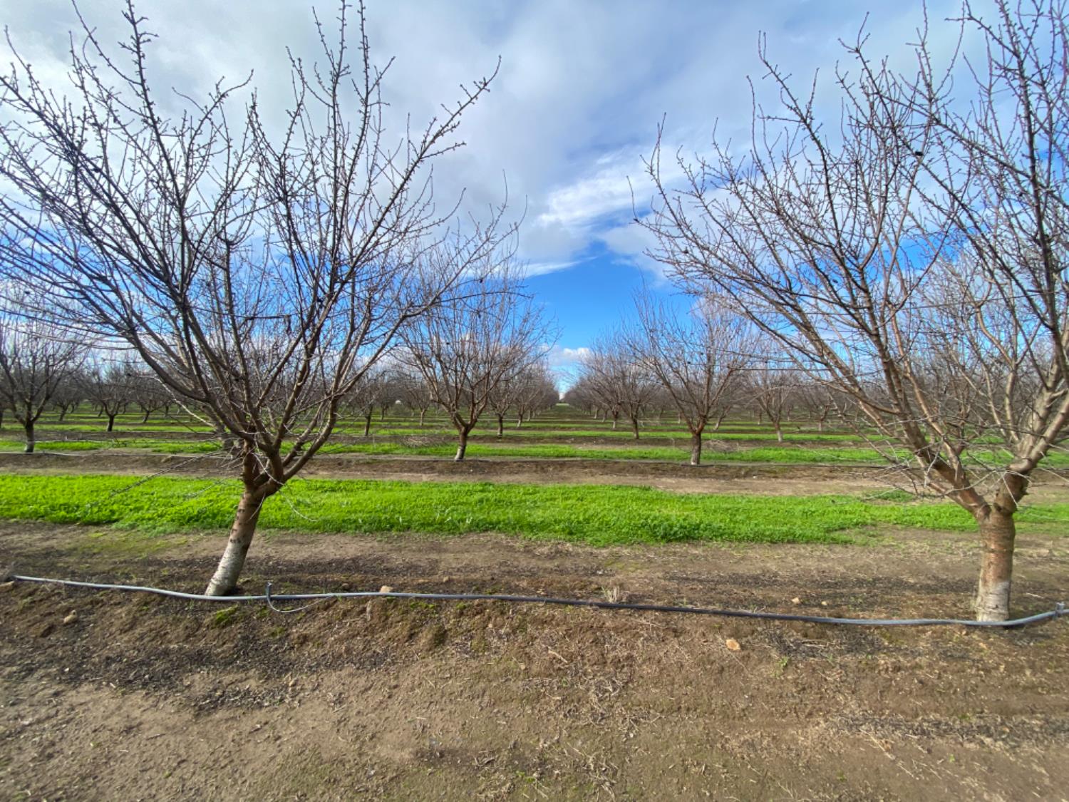 17751 Sexton Rd, Escalon, CA 95320