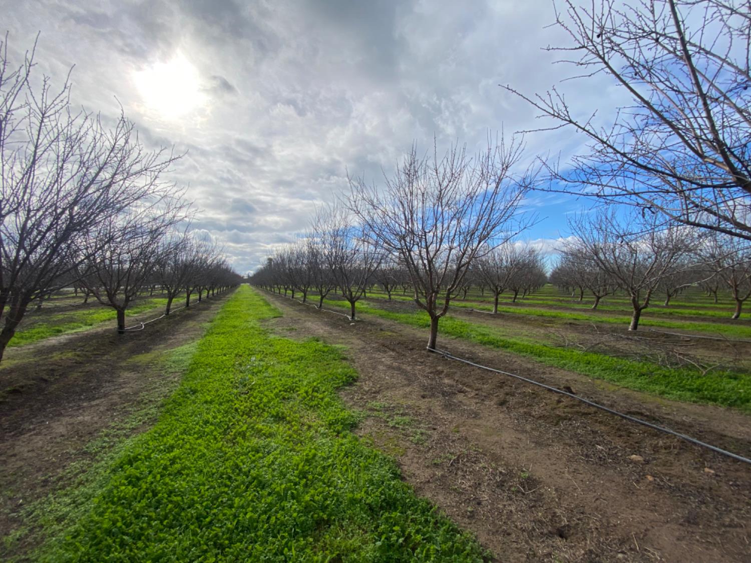 17751 Sexton Rd, Escalon, CA 95320