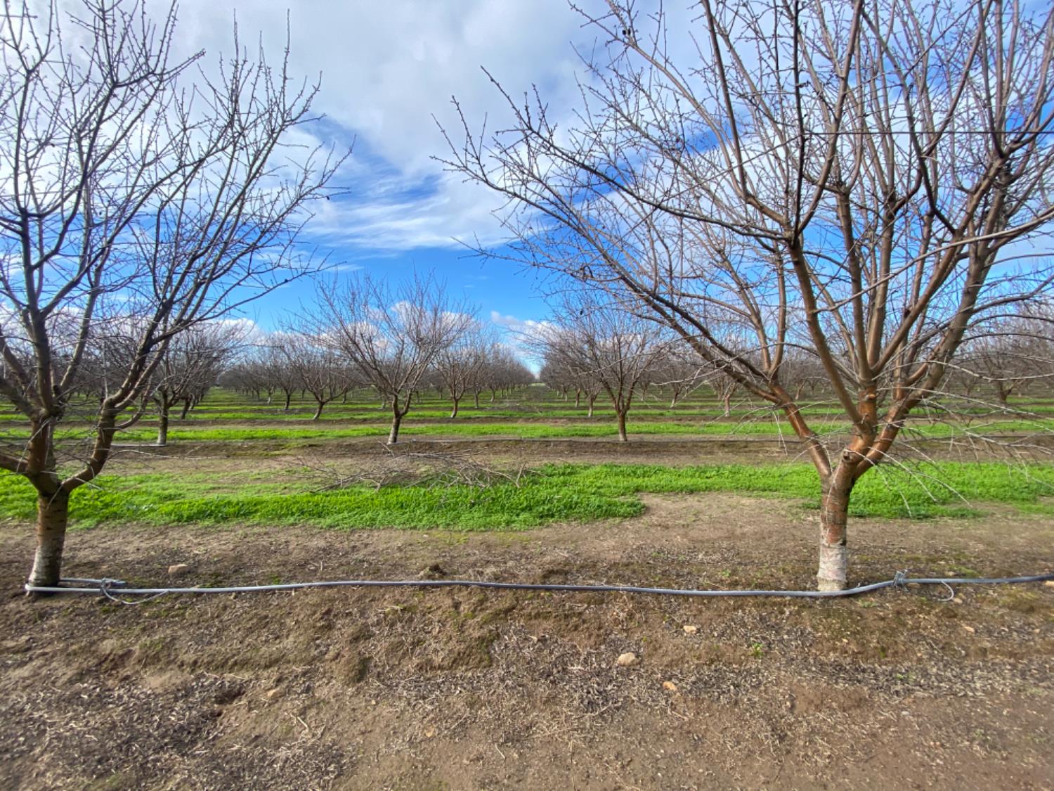 17751 Sexton Rd, Escalon, CA 95320