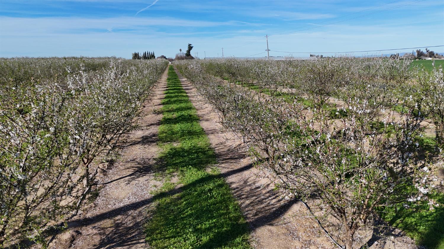 17751 Sexton Rd, Escalon, CA 95320