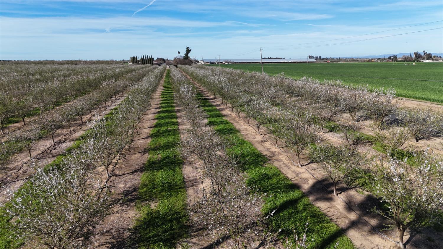 17751 Sexton Rd, Escalon, CA 95320