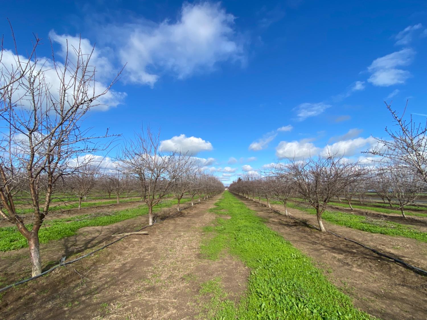 22451 Hwy 120 St, Escalon, CA 95320