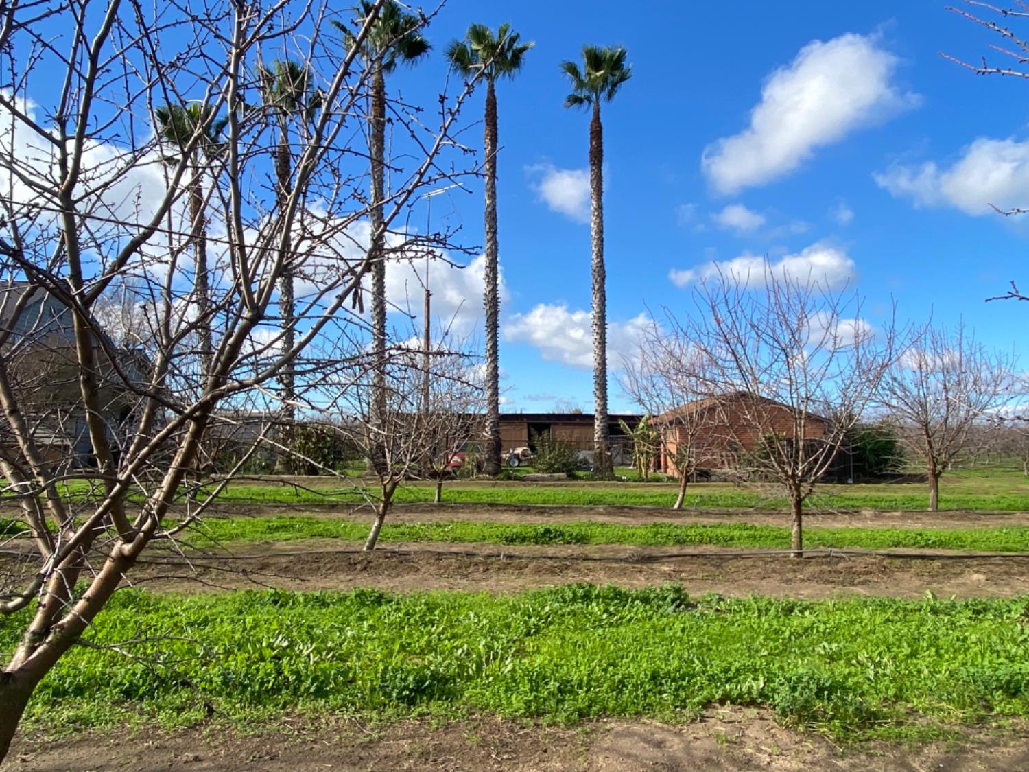 22451 Hwy 120 St, Escalon, CA 95320