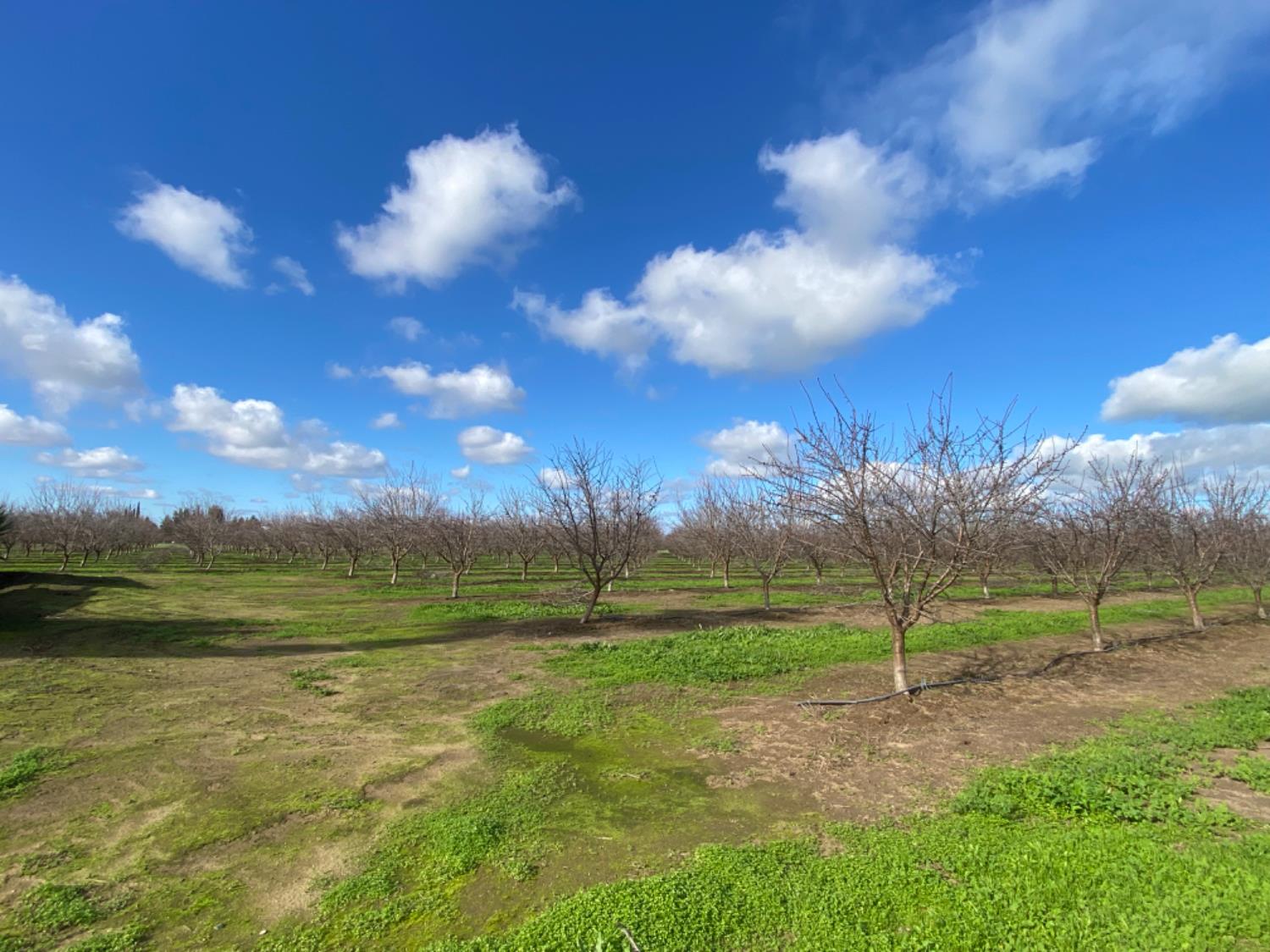 22451 Hwy 120 St, Escalon, CA 95320