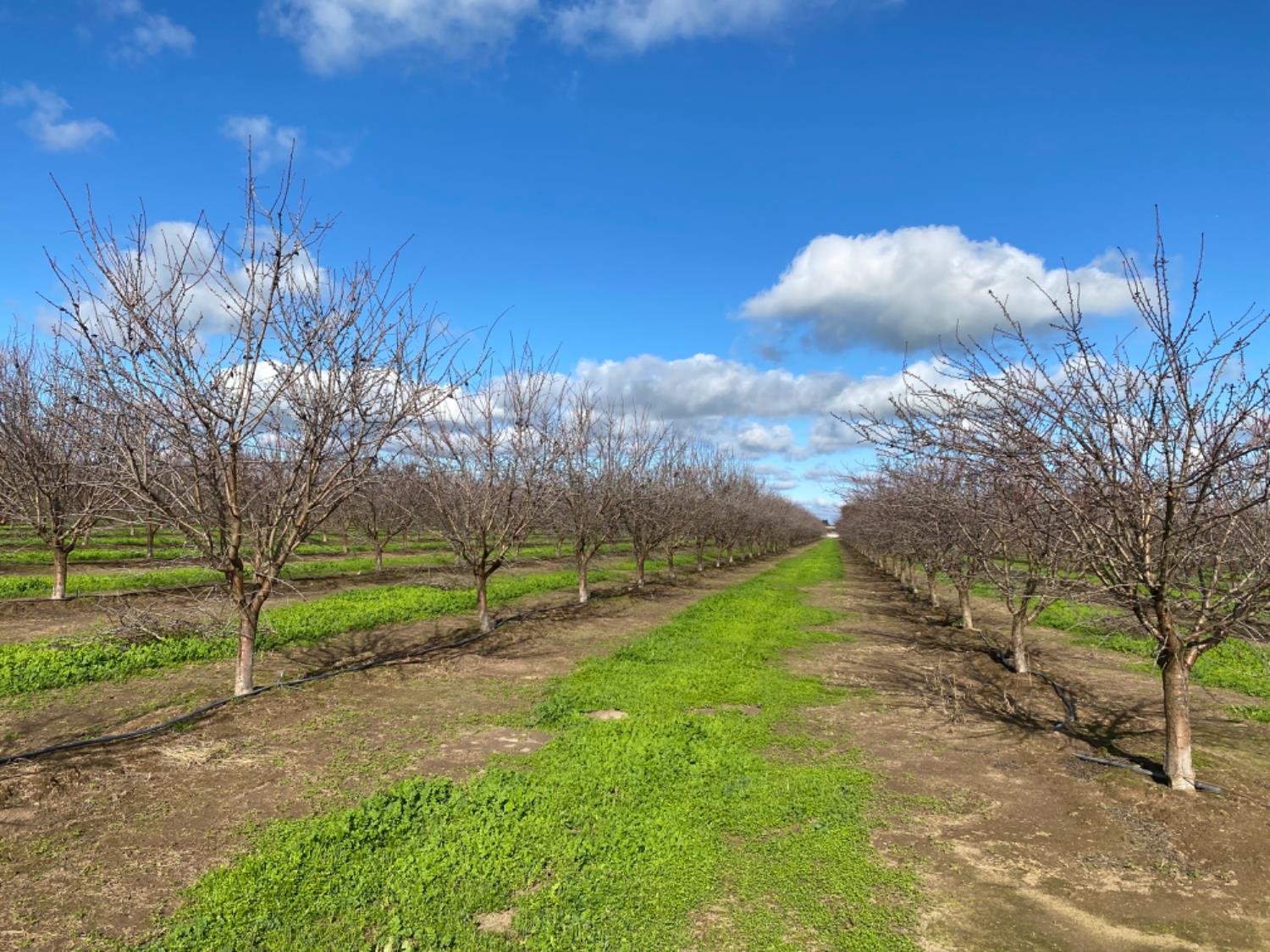 22451 Hwy 120 St, Escalon, CA 95320