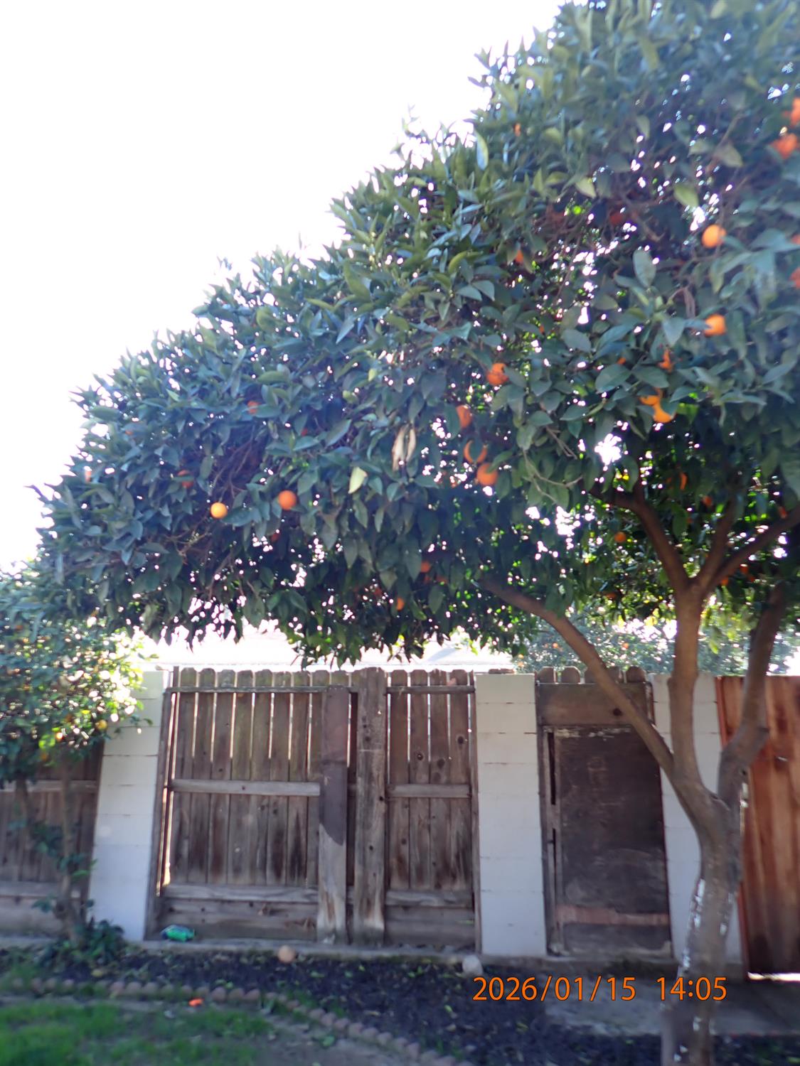 1306 Joni Ave, Modesto, CA 95350