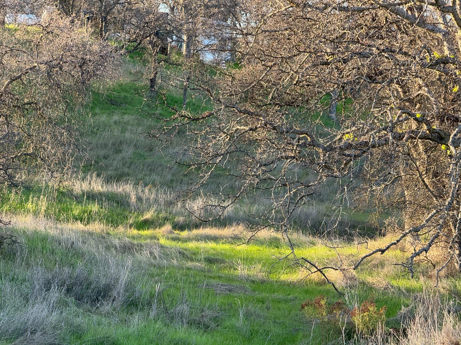 627 Merced Falls, La Grange, CA 95329