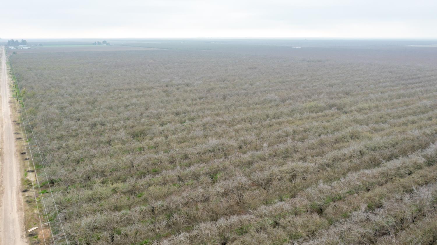 0 W Cable St, Earlimart, CA 93219