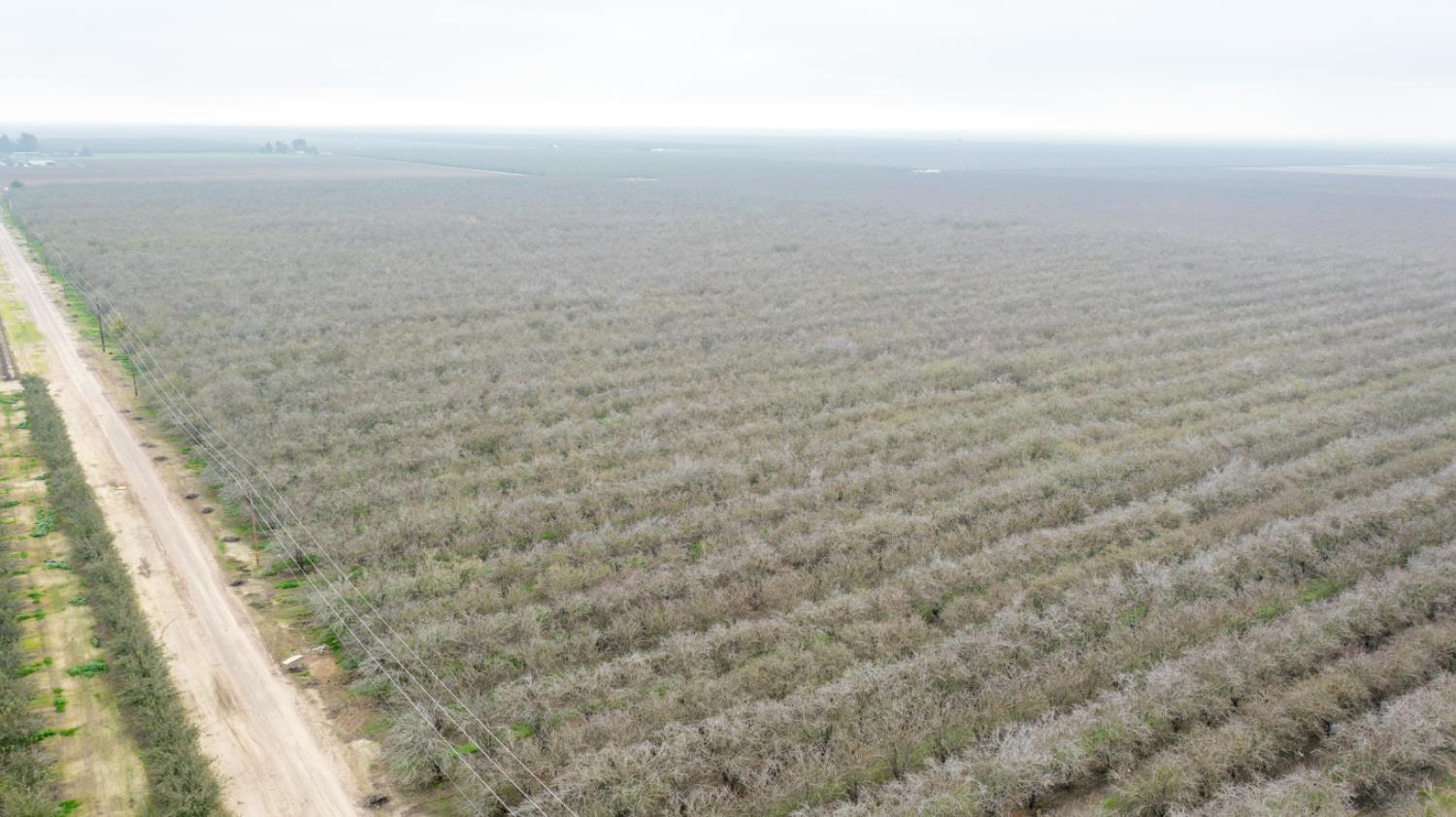 0 W Cable St, Earlimart, CA 93219