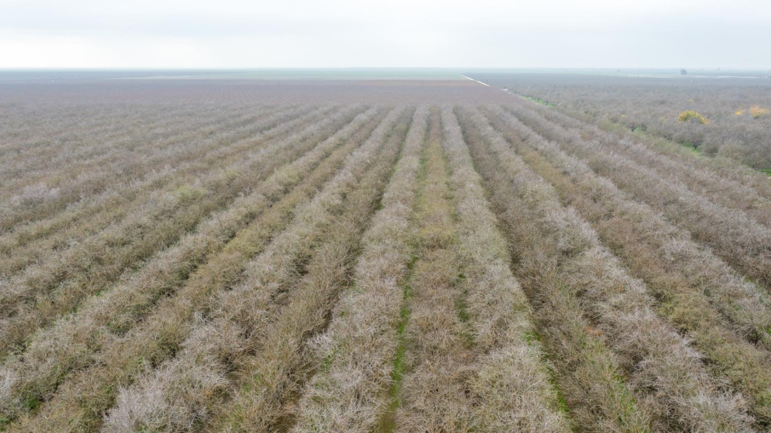 0 W Cable St, Earlimart, CA 93219