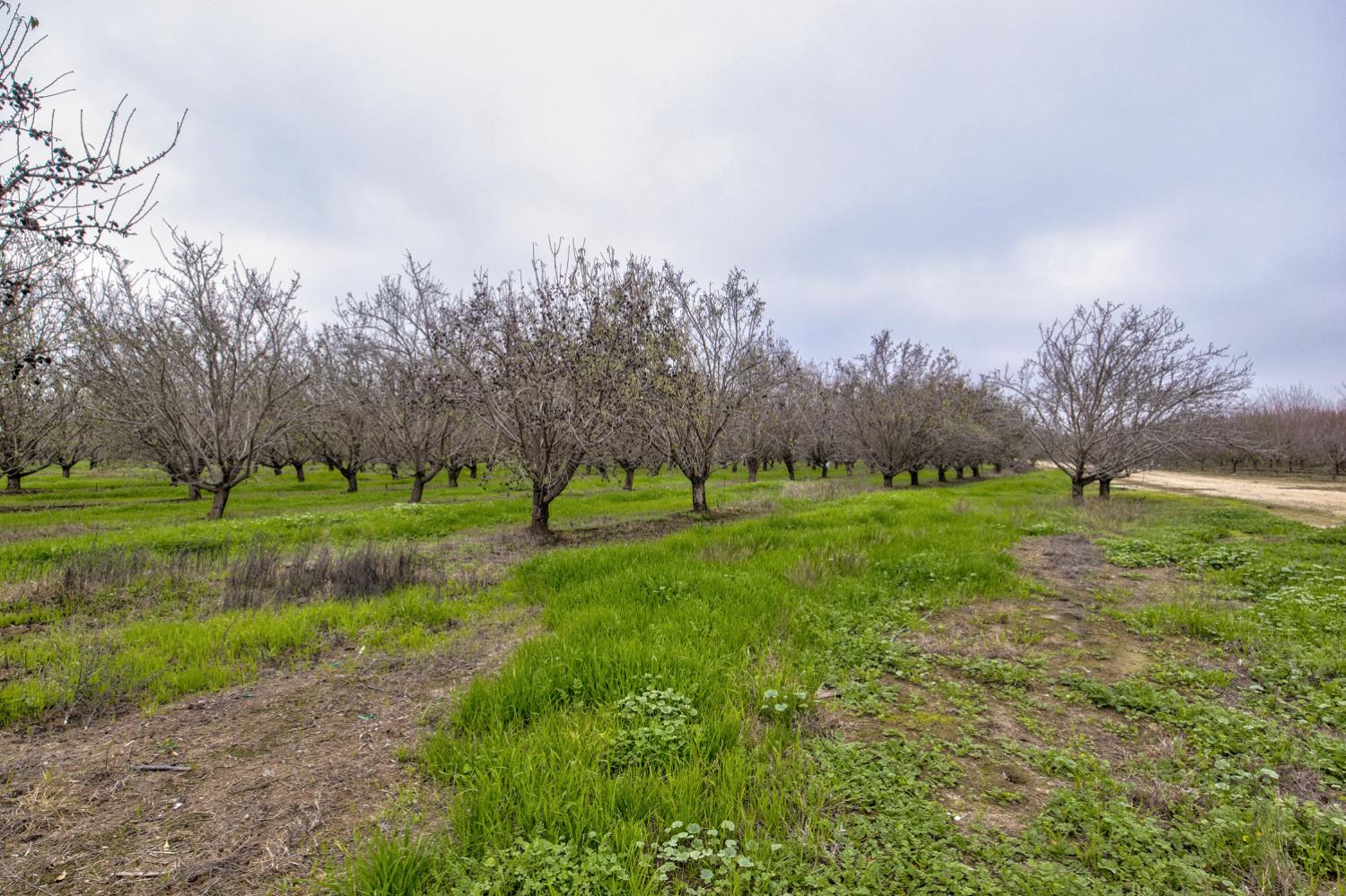 0 Howard Rd, Earlimart, CA 93219