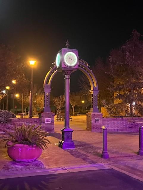 1233 Amy Dr, Newman, CA 95360