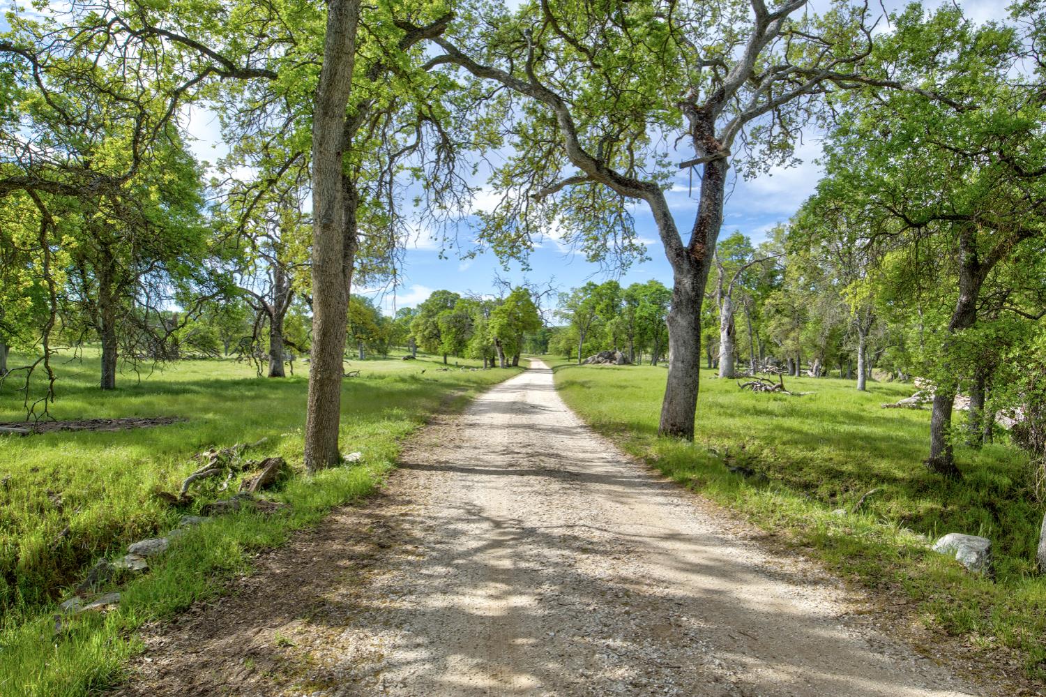 1985 White Rock Rd, Le Grand, CA 95333