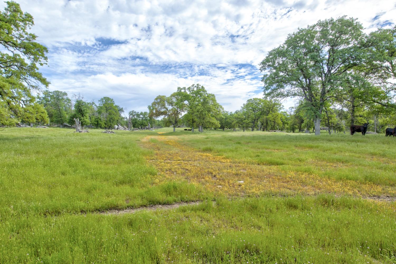 1985 White Rock Rd, Le Grand, CA 95333