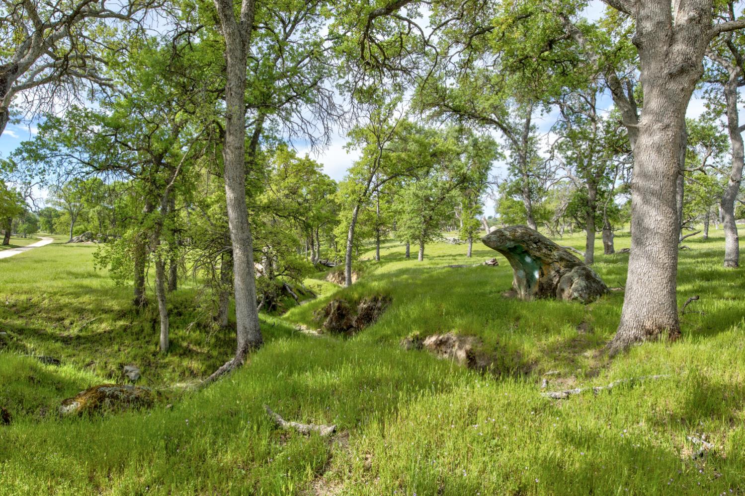 1985 White Rock Rd, Le Grand, CA 95333