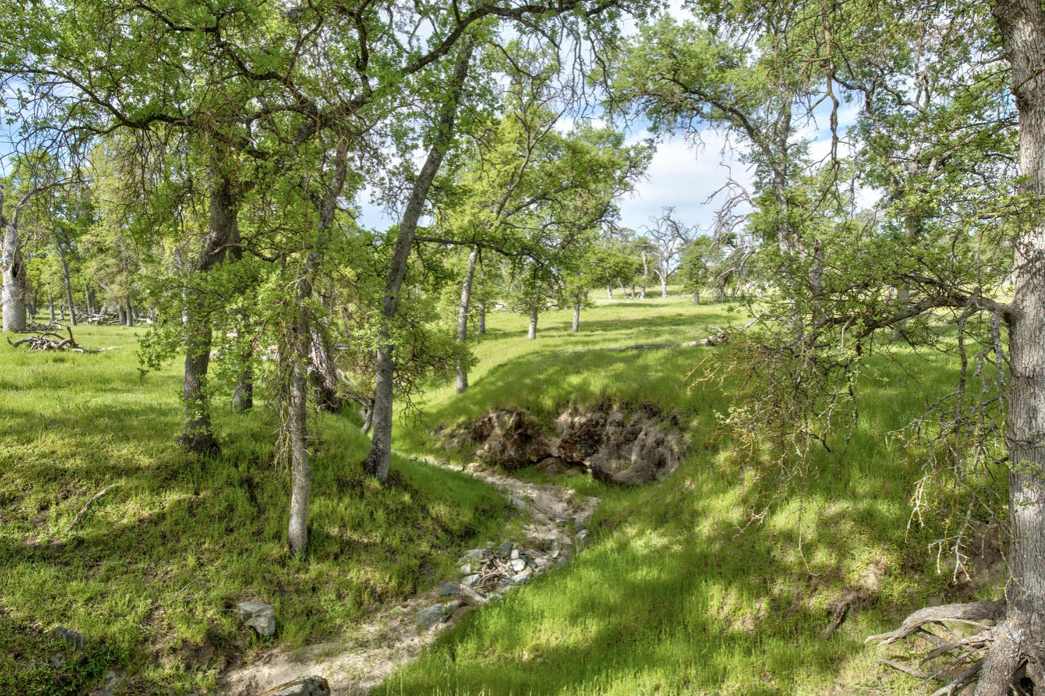 1985 White Rock Rd, Le Grand, CA 95333