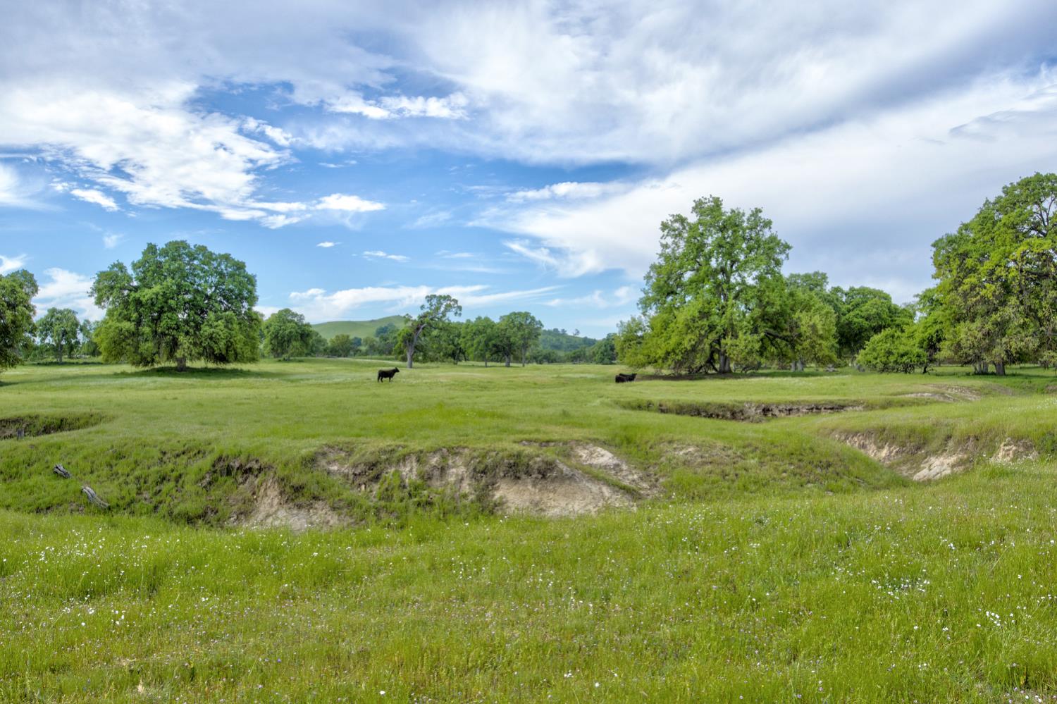 1985 White Rock Rd, Le Grand, CA 95333