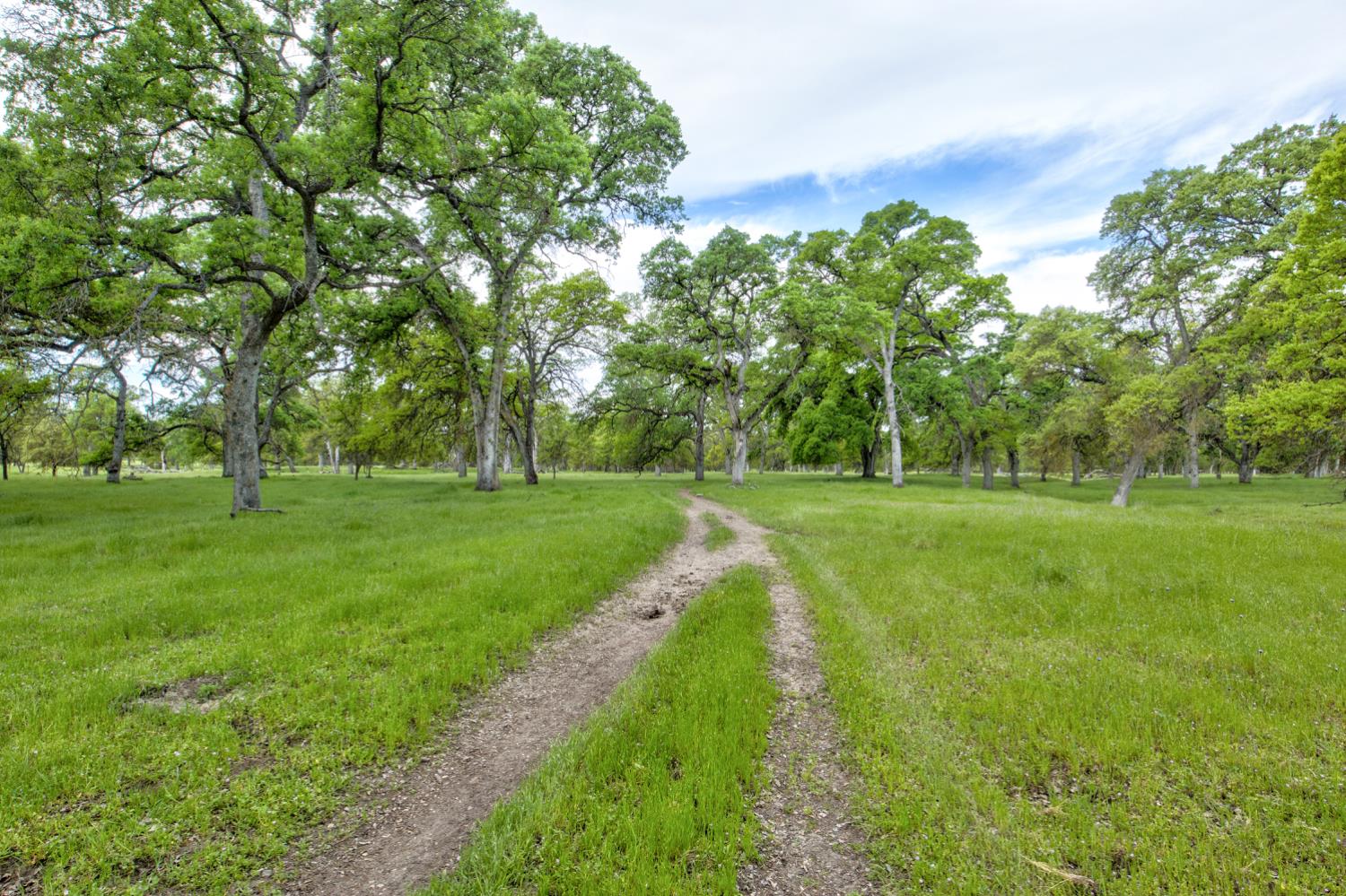 1985 White Rock Rd, Le Grand, CA 95333