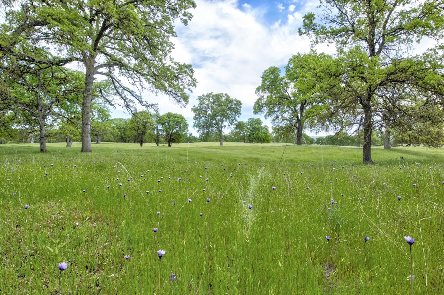 1985 White Rock Rd, Le Grand, CA 95333