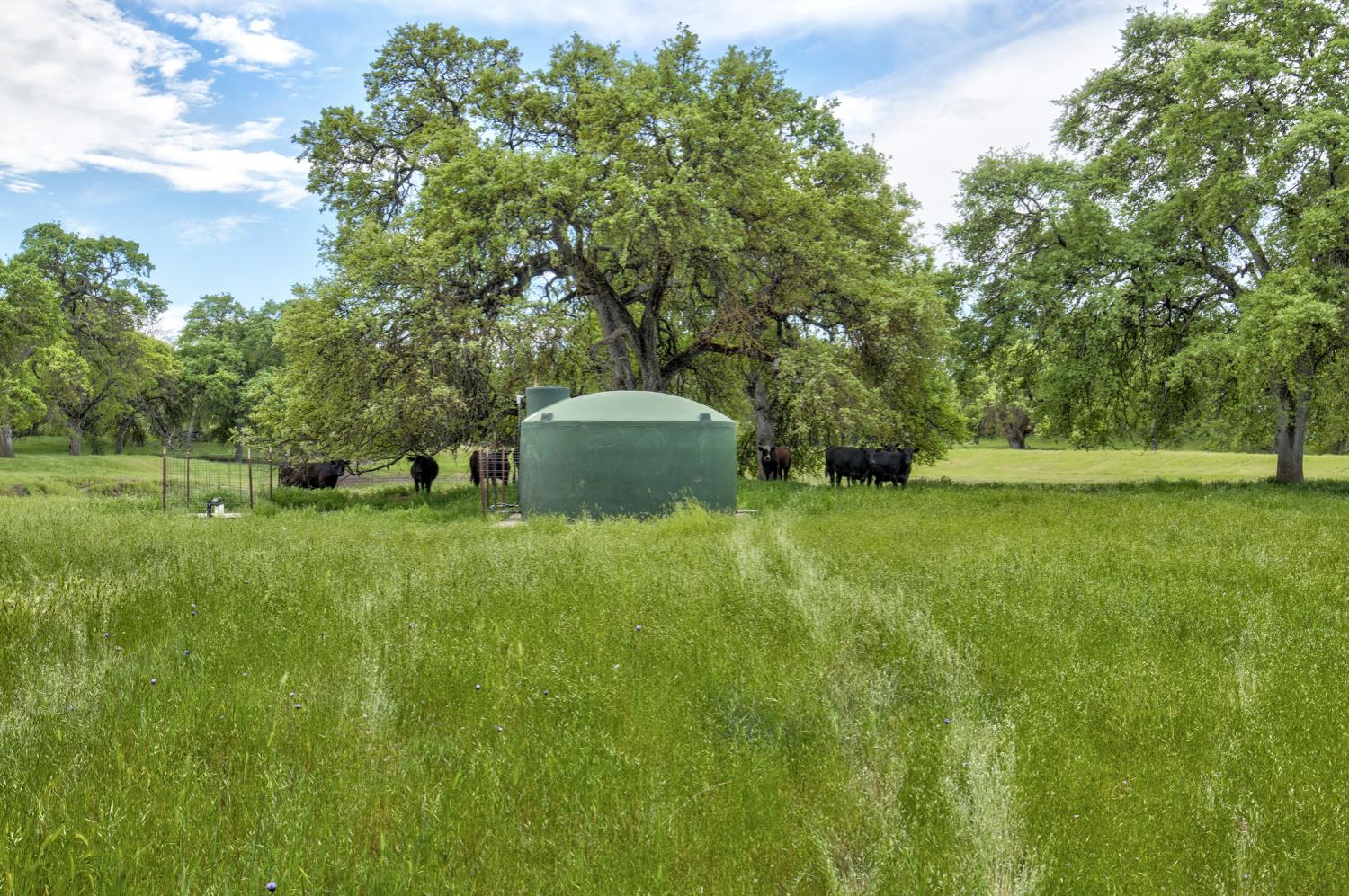 1985 White Rock Rd, Le Grand, CA 95333