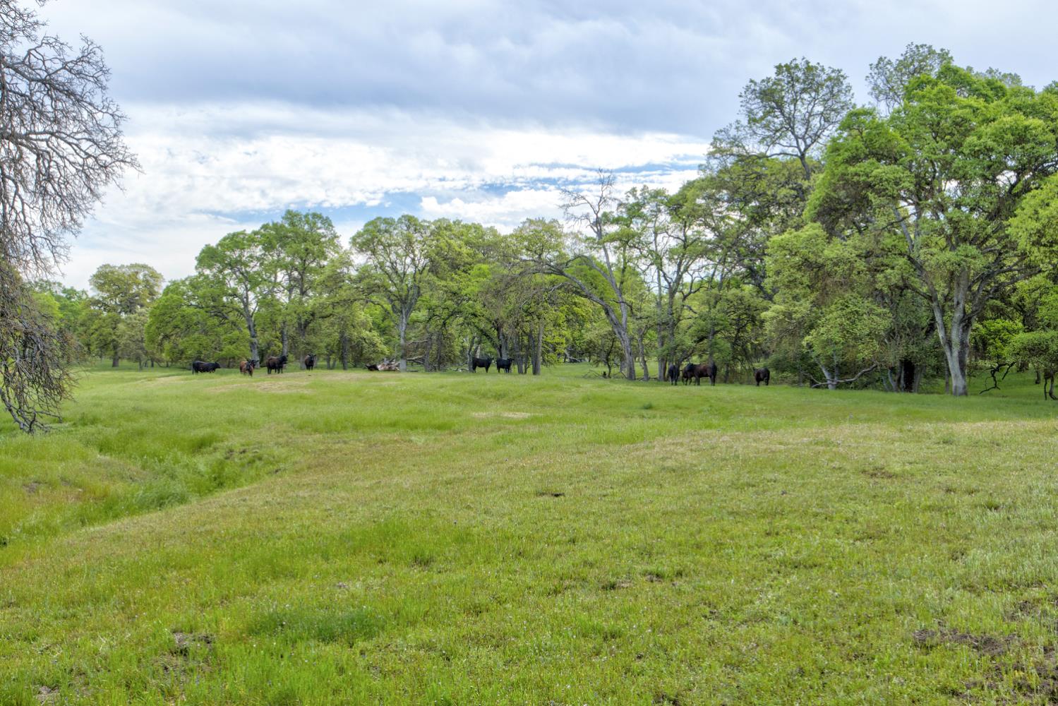 1985 White Rock Rd, Le Grand, CA 95333