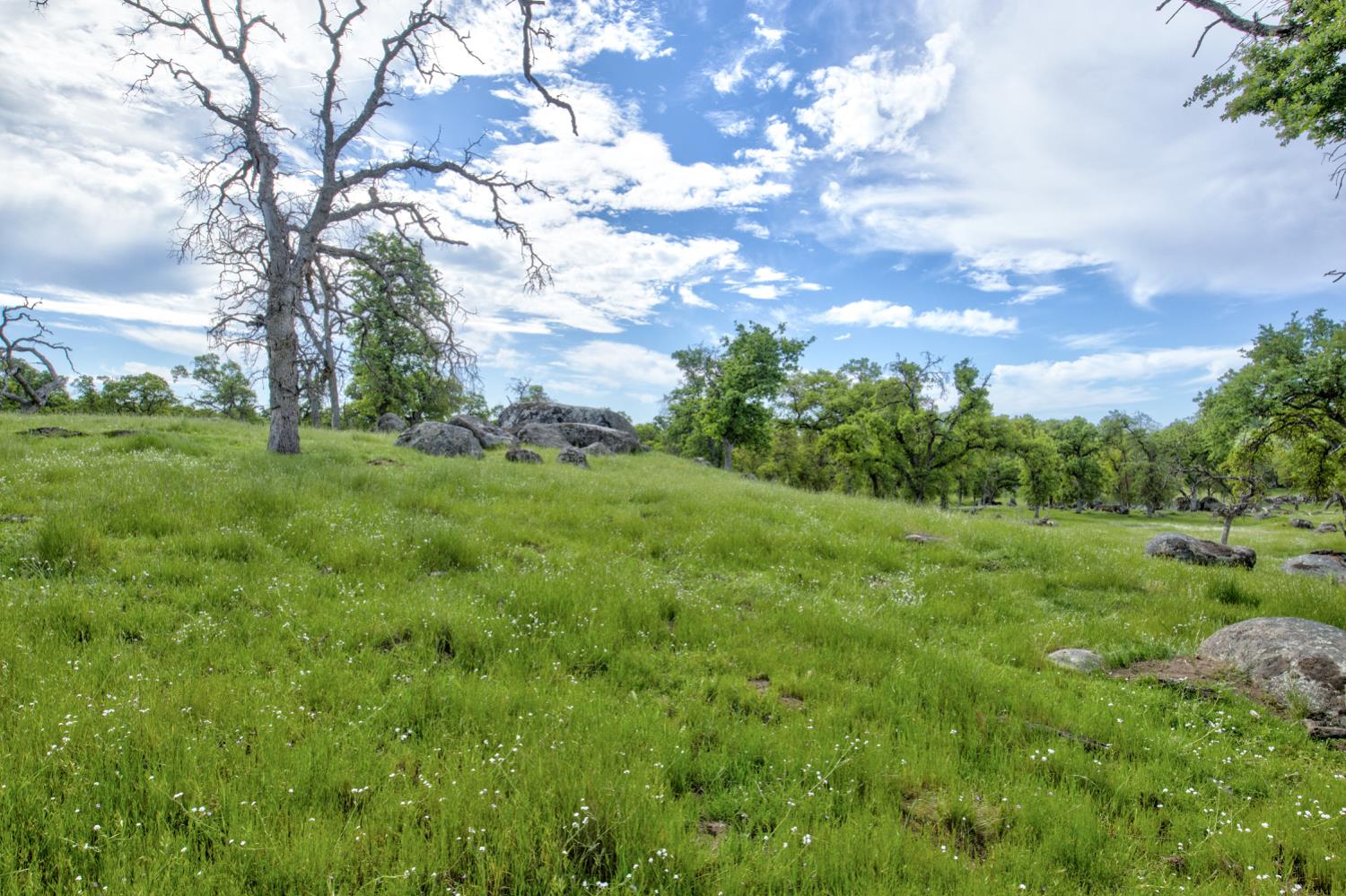 1985 White Rock Rd, Le Grand, CA 95333